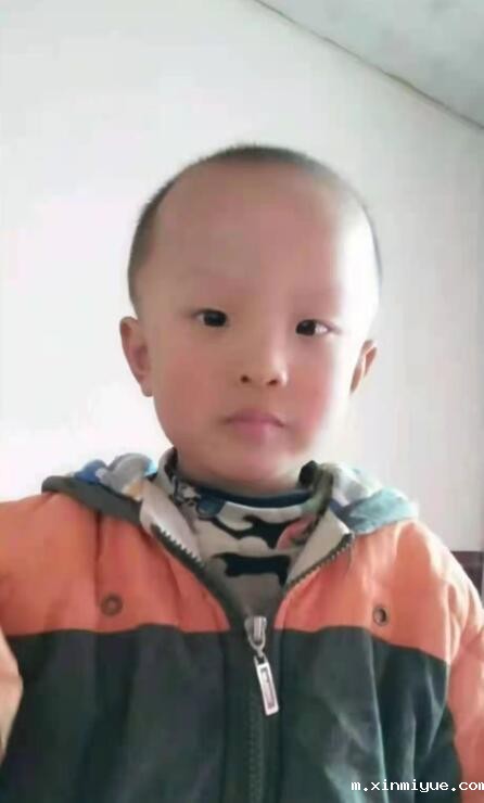 李浩 六口单亲之家 年入不足8000元 李浩 六口单亲之家 年入不足8000元_m.xinmiyue.com