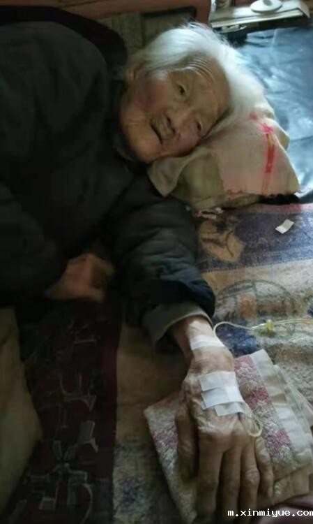 李浩 六口单亲之家 年入不足8000元 李浩 六口单亲之家 年入不足8000元_m.xinmiyue.com