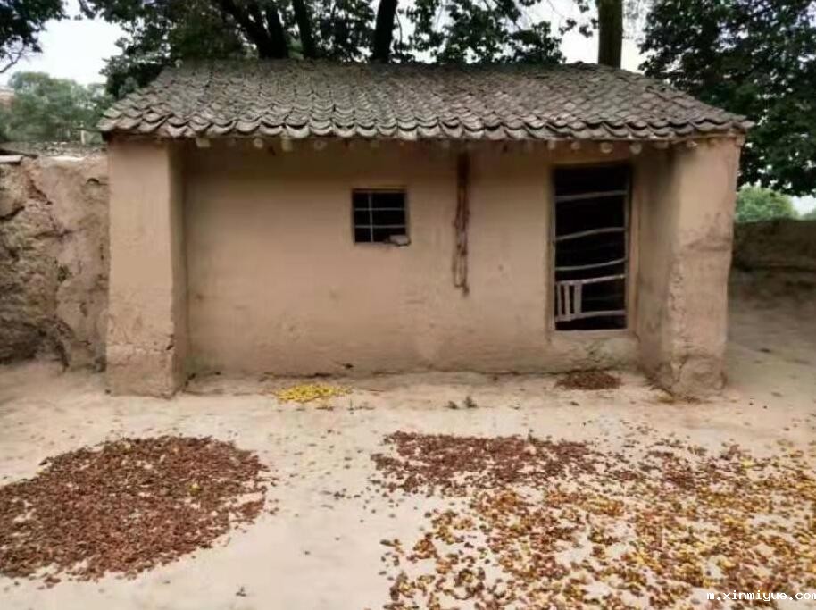 苏盼盼 七口之家 年入保底5000元 苏盼盼 七口之家 年入保底5000元_m.xinmiyue.com