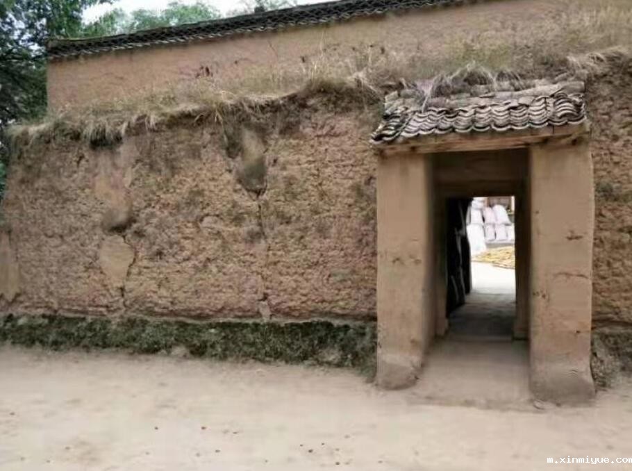 苏盼盼 七口之家 年入保底5000元 苏盼盼 七口之家 年入保底5000元_m.xinmiyue.com