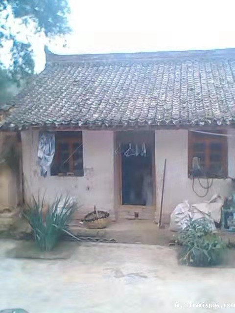 吴学燕 七口之家 年入不足5000元 吴学燕 七口之家 年入不足5000元_m.xinmiyue.com