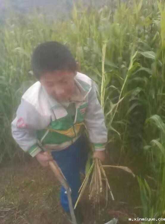 郑家源 六口之家 欠债十几万元 郑家源 六口之家 欠债十几万元_m.xinmiyue.com