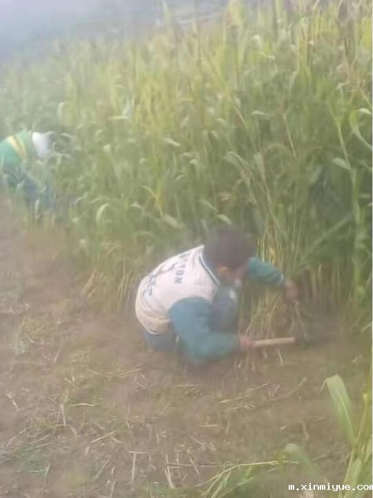 郑家源 六口之家 欠债十几万元 郑家源 六口之家 欠债十几万元_m.xinmiyue.com