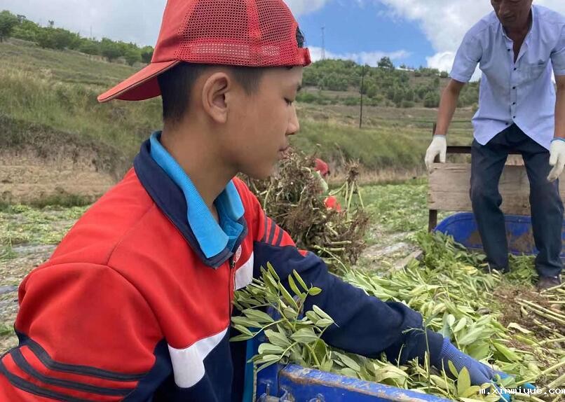 教育孩子有哪些家庭教育方式和方法? 教育孩子有哪些家庭教育方式和方法?_m.xinmiyue.com