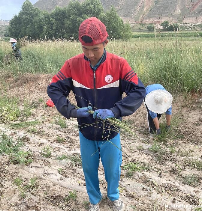 军事吃苦夏令营会给孩子带来哪些变化? 军事吃苦夏令营会给孩子带来哪些变化?_m.xinmiyue.com