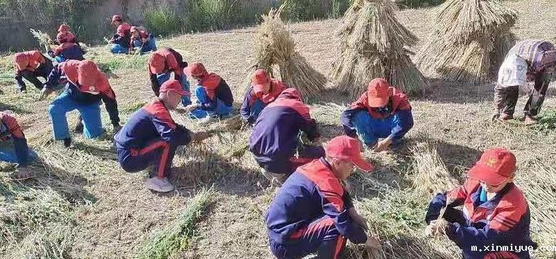 参加吃苦夏令营孩子自食其力能教会孩子什么? 参加吃苦夏令营孩子自食其力能教会孩子什么?_m.xinmiyue.com