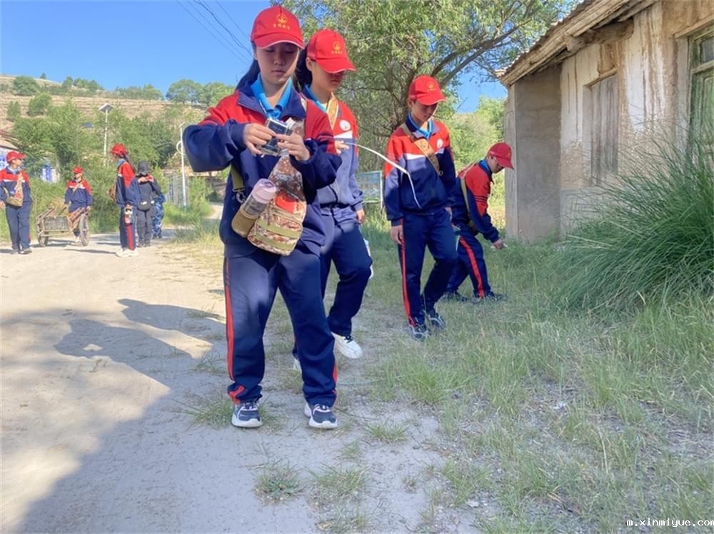 必威betway中文官网「2022年成长不烦恼」磨炼营第四天:体验收割苜蓿草 剔除玉米杂苗 必威betway中文官网「2022年成长不烦恼」磨炼营第四天:体验收割苜蓿草 剔除玉米杂苗_m.xinmiyue.com