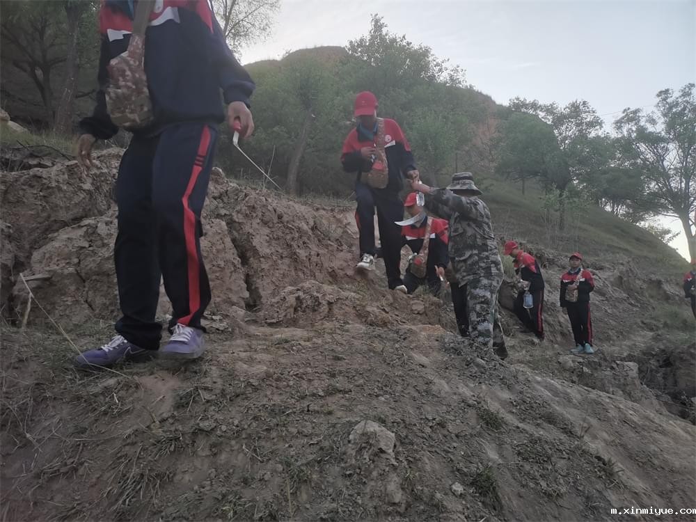 必威betway中文官网「2022年成长不烦恼」磨炼营第四天:体验收割苜蓿草 剔除玉米杂苗 必威betway中文官网「2022年成长不烦恼」磨炼营第四天:体验收割苜蓿草 剔除玉米杂苗_m.xinmiyue.com