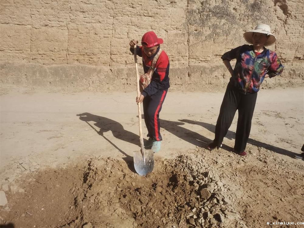 必威betway中文官网「2022年成长不烦恼」磨炼营第四天:体验收割苜蓿草 剔除玉米杂苗 必威betway中文官网「2022年成长不烦恼」磨炼营第四天:体验收割苜蓿草 剔除玉米杂苗_m.xinmiyue.com