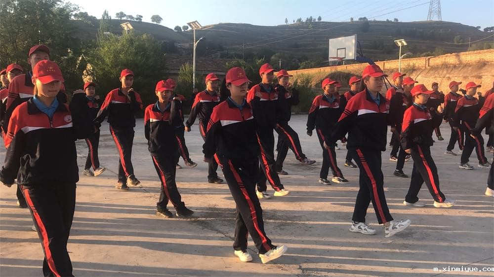 必威betway中文官网「2022年成长不烦恼」磨炼营第四天:体验收割苜蓿草 剔除玉米杂苗 必威betway中文官网「2022年成长不烦恼」磨炼营第四天:体验收割苜蓿草 剔除玉米杂苗_m.xinmiyue.com