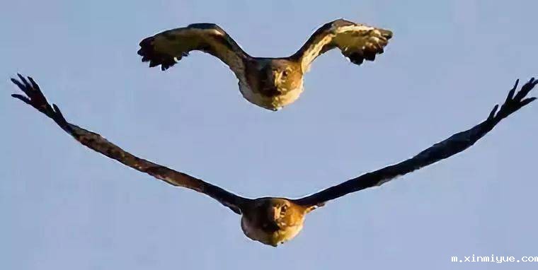 必威betway中文官网突破课程之《鹰王重生》,两天一夜沉浸式学习,让孩子成功蜕变突围! 必威betway中文官网突破课程之《鹰王重生》,两天一夜沉浸式学习,让孩子成功蜕变突围!_m.xinmiyue.com