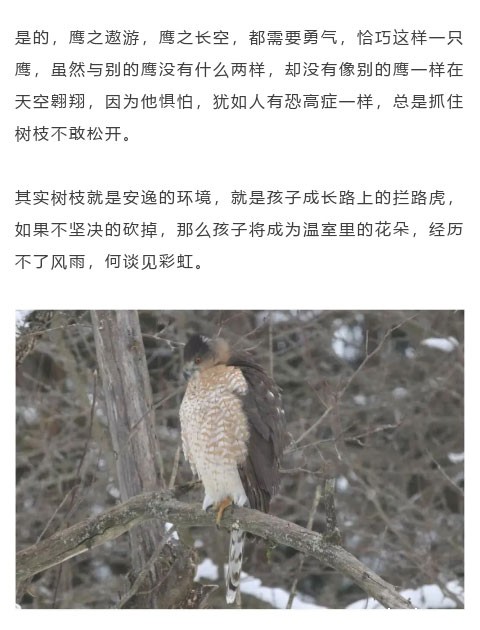 2022年必威登录入口平台官网青少年教育暑期大型蜕变课程:人生不断突破 方能成就非凡自己 2022年必威登录入口平台官网青少年教育暑期大型蜕变课程:人生不断突破 方能成就非凡自己_m.xinmiyue.com