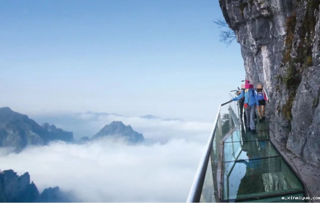 张家界四人相约跳崖,为人父母,别忘记给孩子补上这堂课! 张家界四人相约跳崖,为人父母,别忘记给孩子补上这堂课!_m.xinmiyue.com
