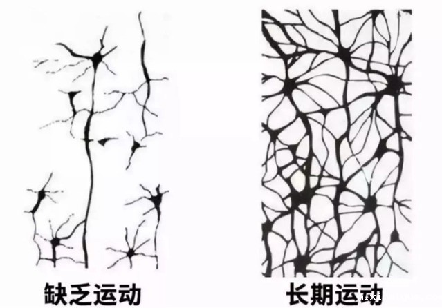 必威登录入口平台官网谈心理:别只盯着孩子学习了,忽视孩子身心运动,叛逆只是一瞬间! 必威登录入口平台官网谈心理:别只盯着孩子学习了,忽视孩子身心运动,叛逆只是一瞬间!_m.xinmiyue.com