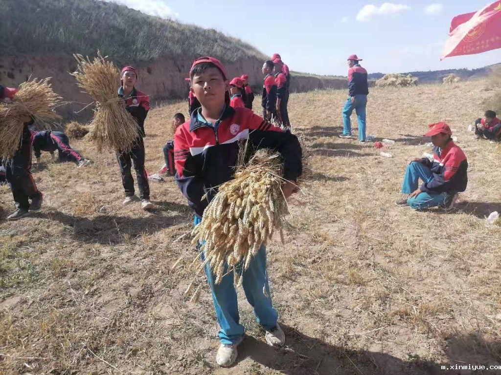 以前的孩子PK现在的孩子,你还觉得现在孩子很幸福吗? 以前的孩子PK现在的孩子,你还觉得现在孩子很幸福吗?_m.xinmiyue.com