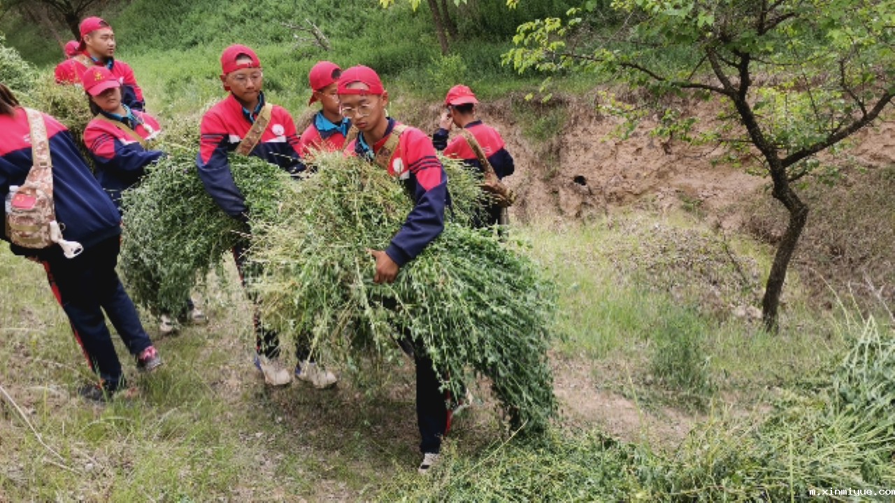 以前的孩子PK现在的孩子,你还觉得现在孩子很幸福吗? 以前的孩子PK现在的孩子,你还觉得现在孩子很幸福吗?_m.xinmiyue.com