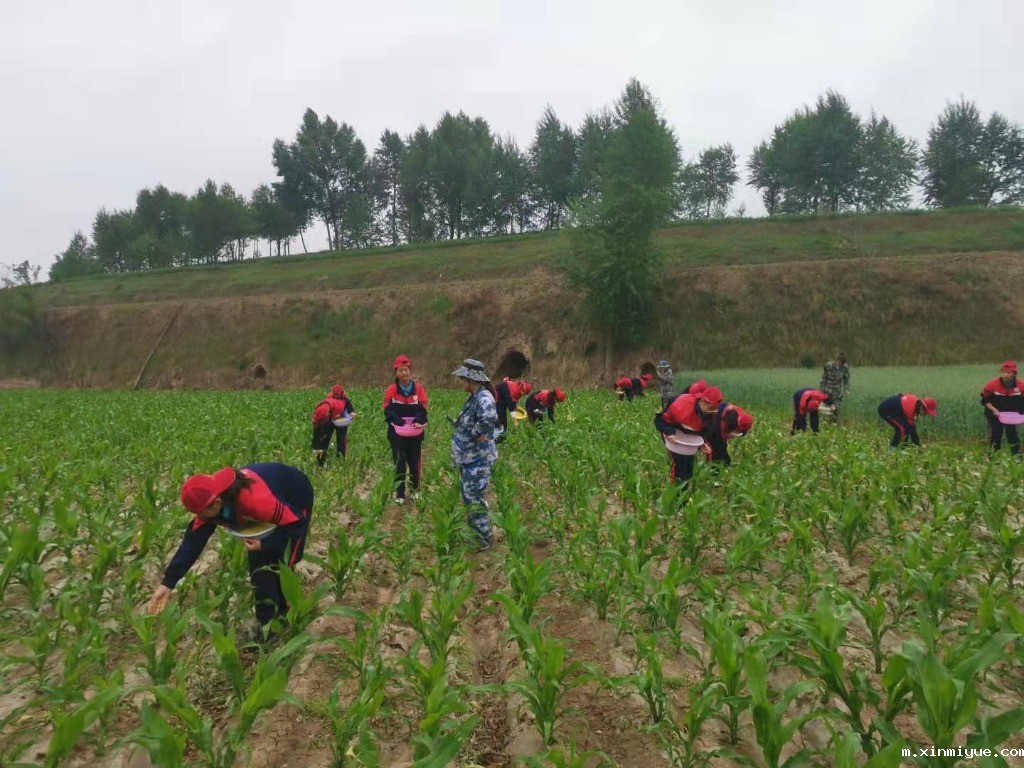 以前的孩子PK现在的孩子,你还觉得现在孩子很幸福吗? 以前的孩子PK现在的孩子,你还觉得现在孩子很幸福吗?_m.xinmiyue.com