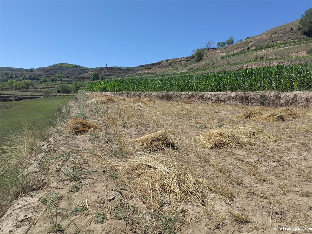 最伤孩子的五句话,父母说的越多,孩子废的越快! 最伤孩子的五句话,父母说的越多,孩子废的越快!_m.xinmiyue.com