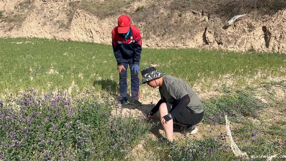 必威betway中文官网「2023年成长不烦恼」夏令营第13天:收割斜坡上的苜蓿草 做事有始有终 必威betway中文官网「2023年成长不烦恼」夏令营第13天:收割斜坡上的苜蓿草 做事有始有终_m.xinmiyue.com