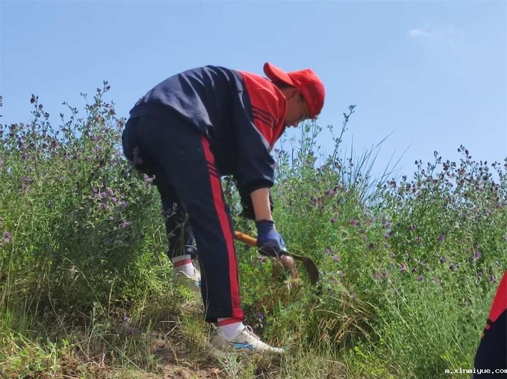 必威betway中文官网「2023年成长不烦恼」夏令营第13天:收割斜坡上的苜蓿草 做事有始有终 必威betway中文官网「2023年成长不烦恼」夏令营第13天:收割斜坡上的苜蓿草 做事有始有终_m.xinmiyue.com