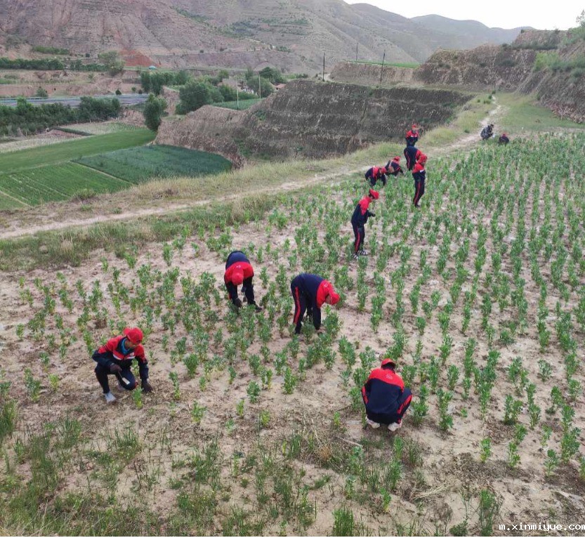 必威betway中文官网「2023年成长不烦恼」夏令营第八天:爱心之旅-大豆田里的爱心 必威betway中文官网「2023年成长不烦恼」夏令营第八天:爱心之旅-大豆田里的爱心_m.xinmiyue.com