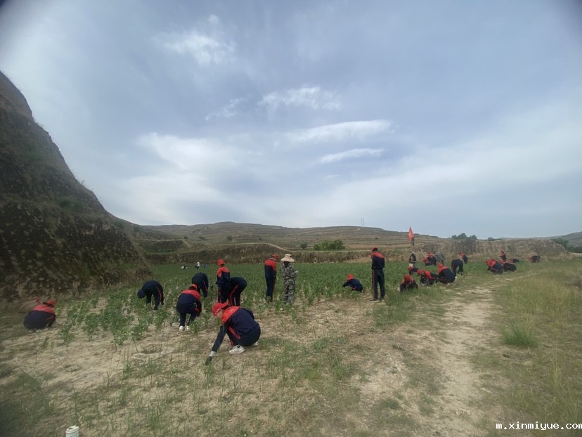 必威betway中文官网「2023年成长不烦恼」夏令营第八天:爱心之旅-大豆田里的爱心 必威betway中文官网「2023年成长不烦恼」夏令营第八天:爱心之旅-大豆田里的爱心_m.xinmiyue.com