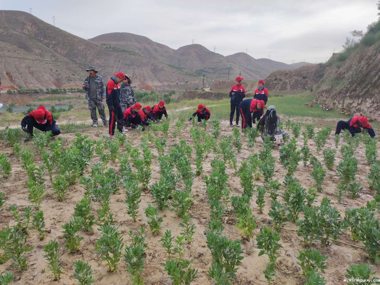 必威betway中文官网「2023年成长不烦恼」夏令营第八天:爱心之旅-大豆田里的爱心 必威betway中文官网「2023年成长不烦恼」夏令营第八天:爱心之旅-大豆田里的爱心_m.xinmiyue.com