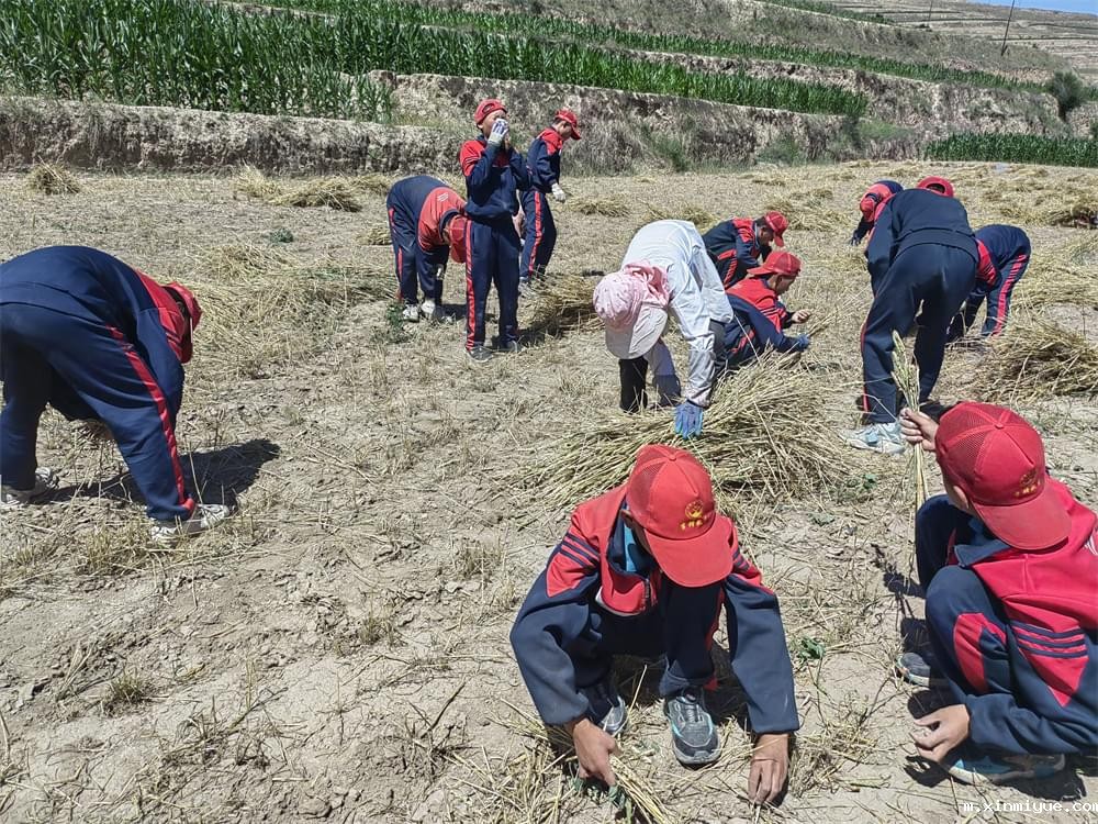 必威betway中文官网「2023年成长不烦恼」夏令营二期第9天:田间地头孩子忙收麦 黑夜路灯情暖人心 必威betway中文官网「2023年成长不烦恼」夏令营二期第9天:田间地头孩子忙收麦 黑夜路灯情暖人心_m.xinmiyue.com