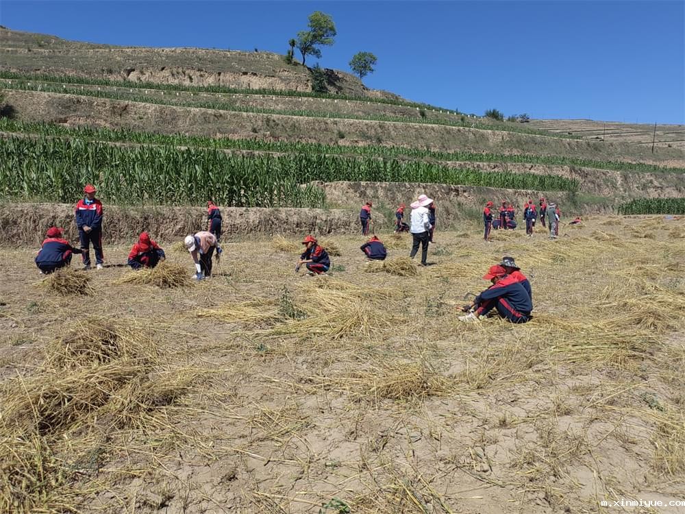 必威betway中文官网「2023年成长不烦恼」夏令营二期第9天:田间地头孩子忙收麦 黑夜路灯情暖人心 必威betway中文官网「2023年成长不烦恼」夏令营二期第9天:田间地头孩子忙收麦 黑夜路灯情暖人心_m.xinmiyue.com