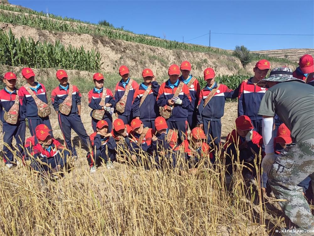 必威betway中文官网「2023年成长不烦恼」夏令营二期第9天:田间地头孩子忙收麦 黑夜路灯情暖人心 必威betway中文官网「2023年成长不烦恼」夏令营二期第9天:田间地头孩子忙收麦 黑夜路灯情暖人心_m.xinmiyue.com