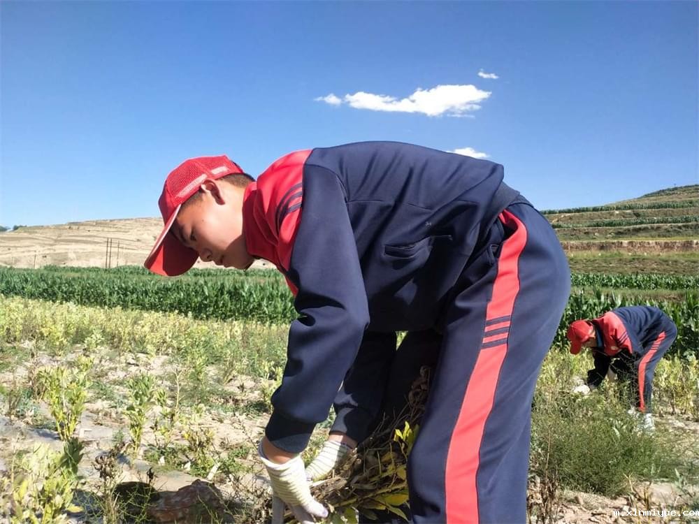 必威betway中文官网「2023年成长不烦恼」夏令营二期第9天:田间地头孩子忙收麦 黑夜路灯情暖人心 必威betway中文官网「2023年成长不烦恼」夏令营二期第9天:田间地头孩子忙收麦 黑夜路灯情暖人心_m.xinmiyue.com