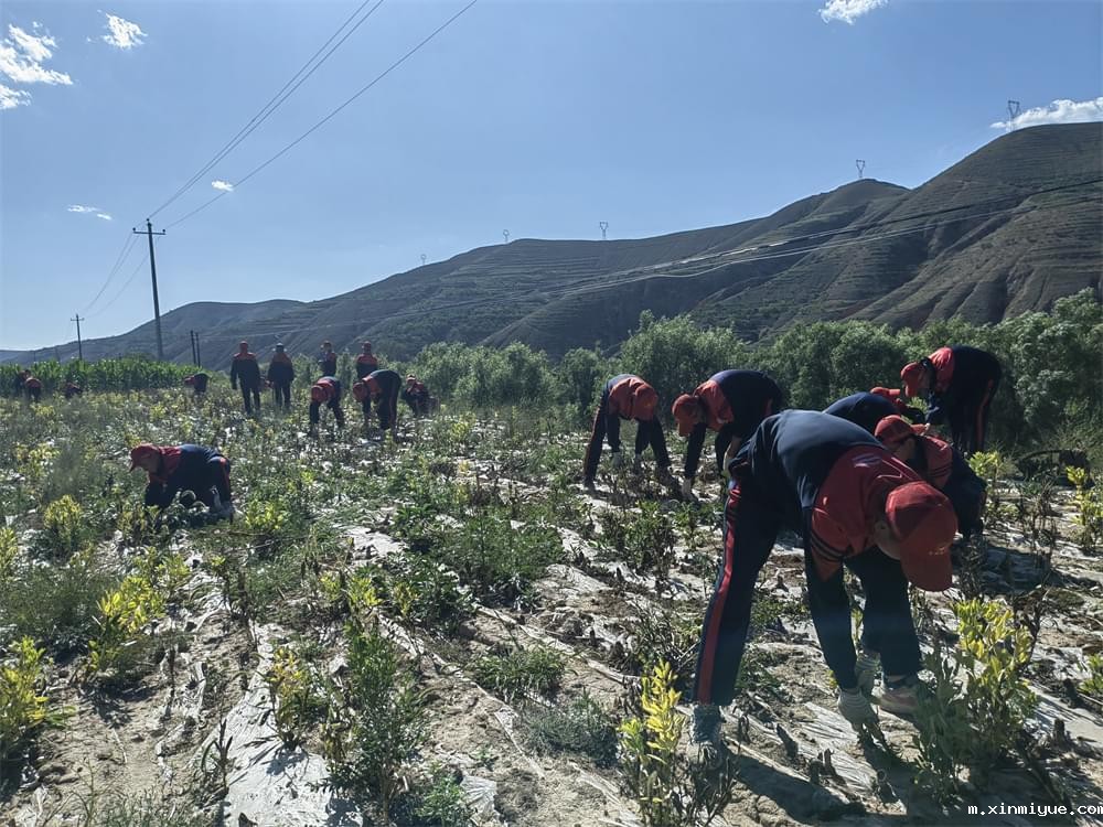 必威betway中文官网「2023年成长不烦恼」夏令营二期第9天:田间地头孩子忙收麦 黑夜路灯情暖人心 必威betway中文官网「2023年成长不烦恼」夏令营二期第9天:田间地头孩子忙收麦 黑夜路灯情暖人心_m.xinmiyue.com