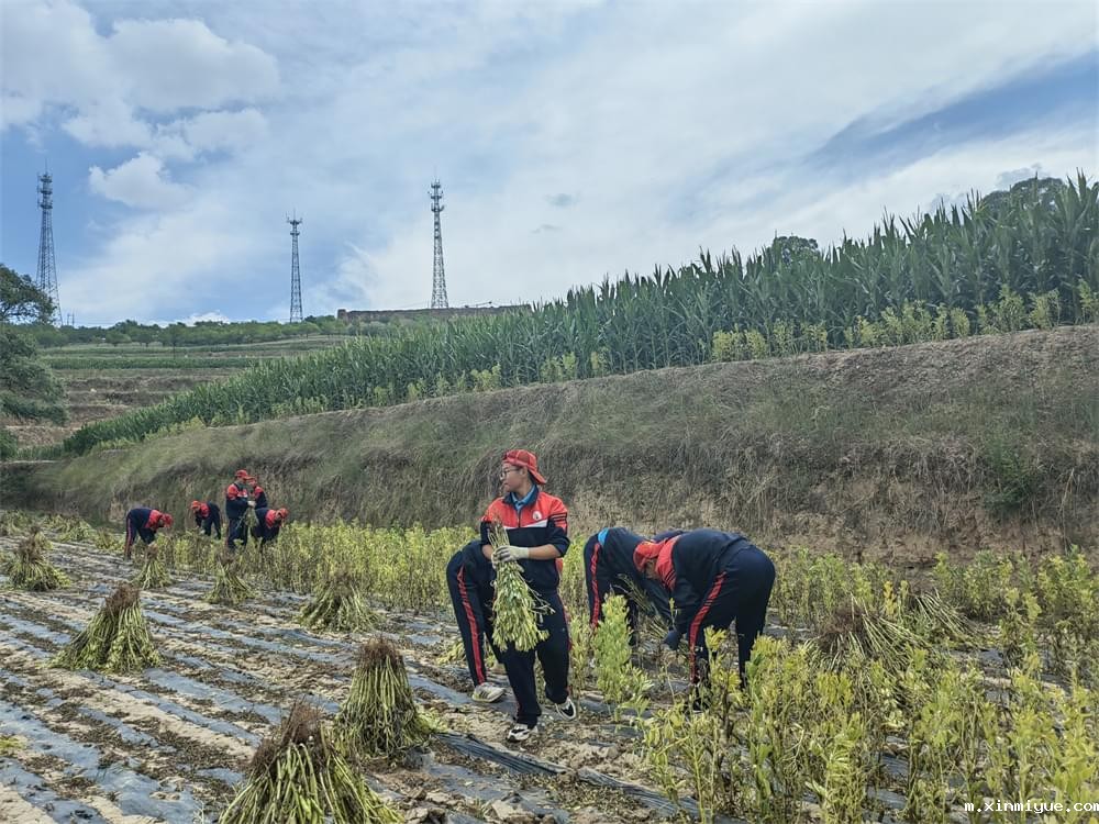 必威betway中文官网「2023年成长不烦恼」夏令营二期第11天:小手捡扁豆 粒粒皆辛苦 必威betway中文官网「2023年成长不烦恼」夏令营二期第11天:小手捡扁豆 粒粒皆辛苦_m.xinmiyue.com