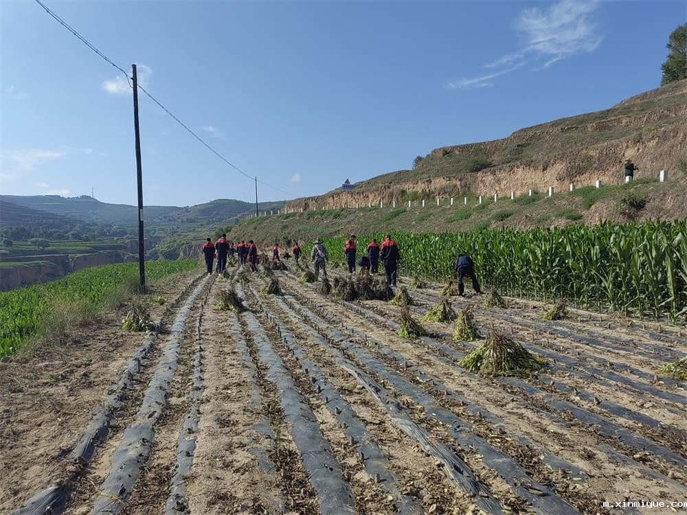 必威betway中文官网「2023年成长不烦恼」夏令营二期第11天:小手捡扁豆 粒粒皆辛苦 必威betway中文官网「2023年成长不烦恼」夏令营二期第11天:小手捡扁豆 粒粒皆辛苦_m.xinmiyue.com