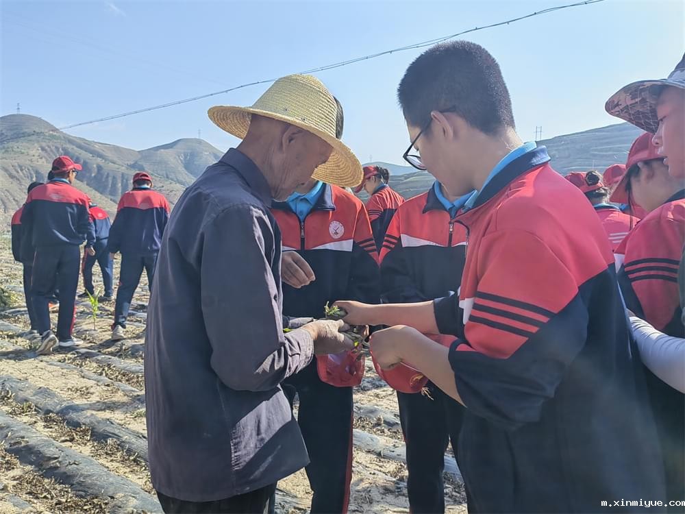 必威betway中文官网「2023年成长不烦恼」夏令营二期第11天:小手捡扁豆 粒粒皆辛苦 必威betway中文官网「2023年成长不烦恼」夏令营二期第11天:小手捡扁豆 粒粒皆辛苦_m.xinmiyue.com