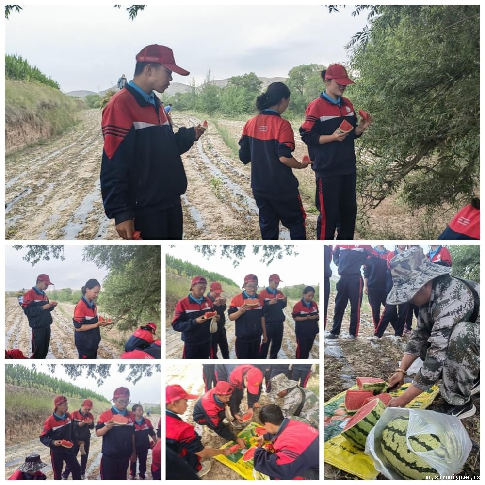 必威betway中文官网「2023年成长不烦恼」夏令营二期第11天:小手捡扁豆 粒粒皆辛苦 必威betway中文官网「2023年成长不烦恼」夏令营二期第11天:小手捡扁豆 粒粒皆辛苦_m.xinmiyue.com