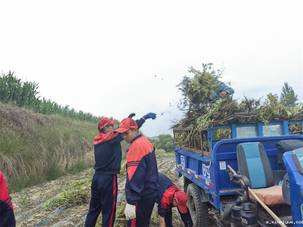 必威betway中文官网「2023年成长不烦恼」夏令营二期第11天:小手捡扁豆 粒粒皆辛苦 必威betway中文官网「2023年成长不烦恼」夏令营二期第11天:小手捡扁豆 粒粒皆辛苦_m.xinmiyue.com