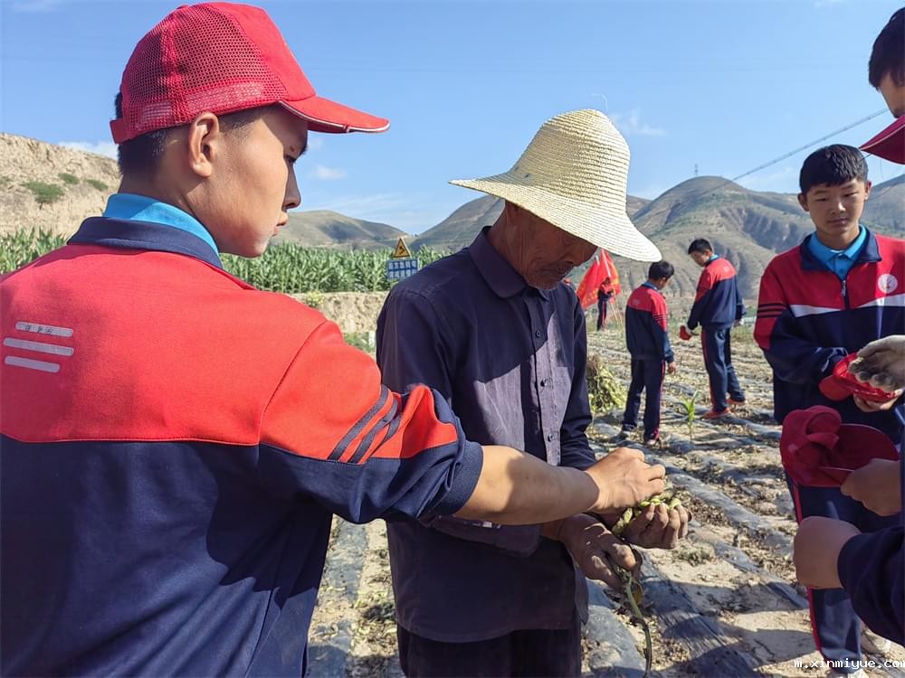 必威betway中文官网「2023年成长不烦恼」夏令营二期第11天:小手捡扁豆 粒粒皆辛苦 必威betway中文官网「2023年成长不烦恼」夏令营二期第11天:小手捡扁豆 粒粒皆辛苦_m.xinmiyue.com
