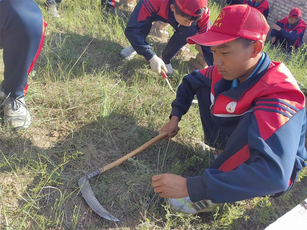 必威betway中文官网「2023年成长不烦恼」夏令营二期第11天:小手捡扁豆 粒粒皆辛苦 必威betway中文官网「2023年成长不烦恼」夏令营二期第11天:小手捡扁豆 粒粒皆辛苦_m.xinmiyue.com