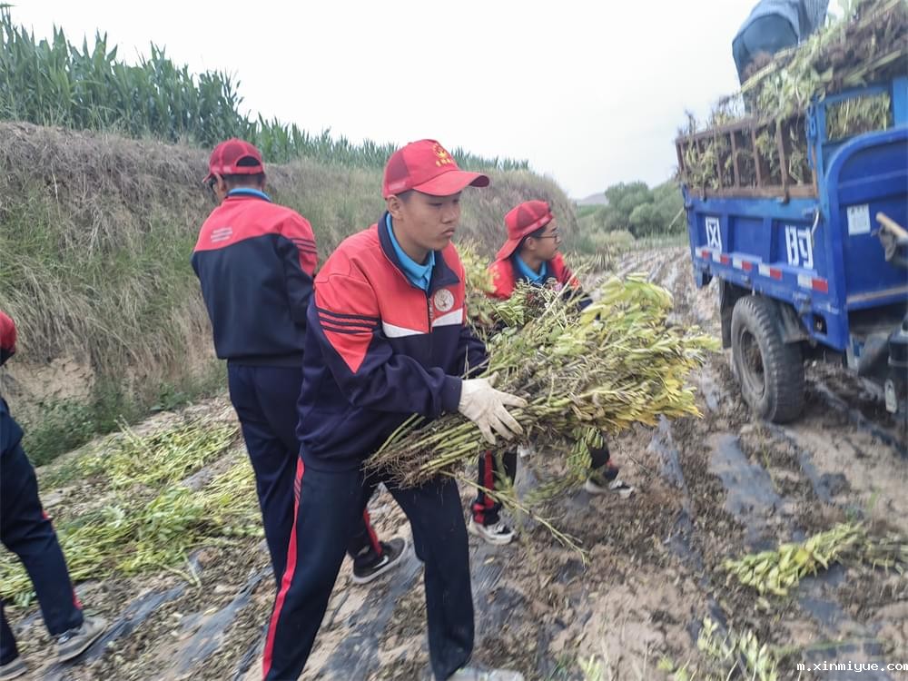 必威betway中文官网「2023年成长不烦恼」夏令营二期第11天:小手捡扁豆 粒粒皆辛苦 必威betway中文官网「2023年成长不烦恼」夏令营二期第11天:小手捡扁豆 粒粒皆辛苦_m.xinmiyue.com