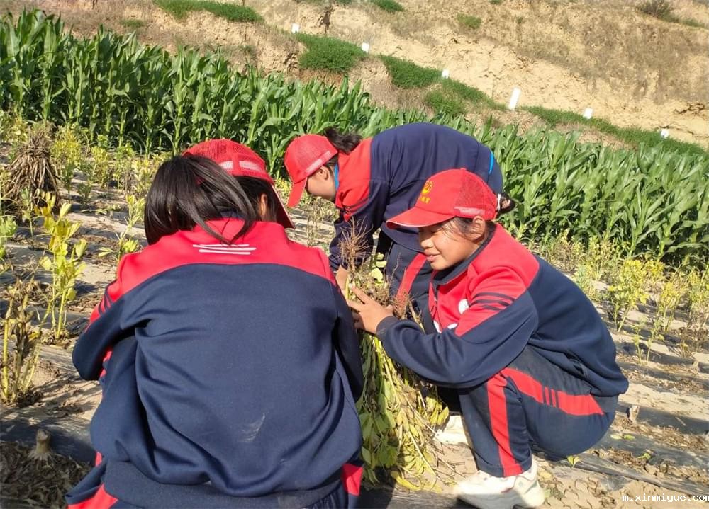 必威betway中文官网「2023年成长不烦恼」夏令营二期第11天:小手捡扁豆 粒粒皆辛苦 必威betway中文官网「2023年成长不烦恼」夏令营二期第11天:小手捡扁豆 粒粒皆辛苦_m.xinmiyue.com