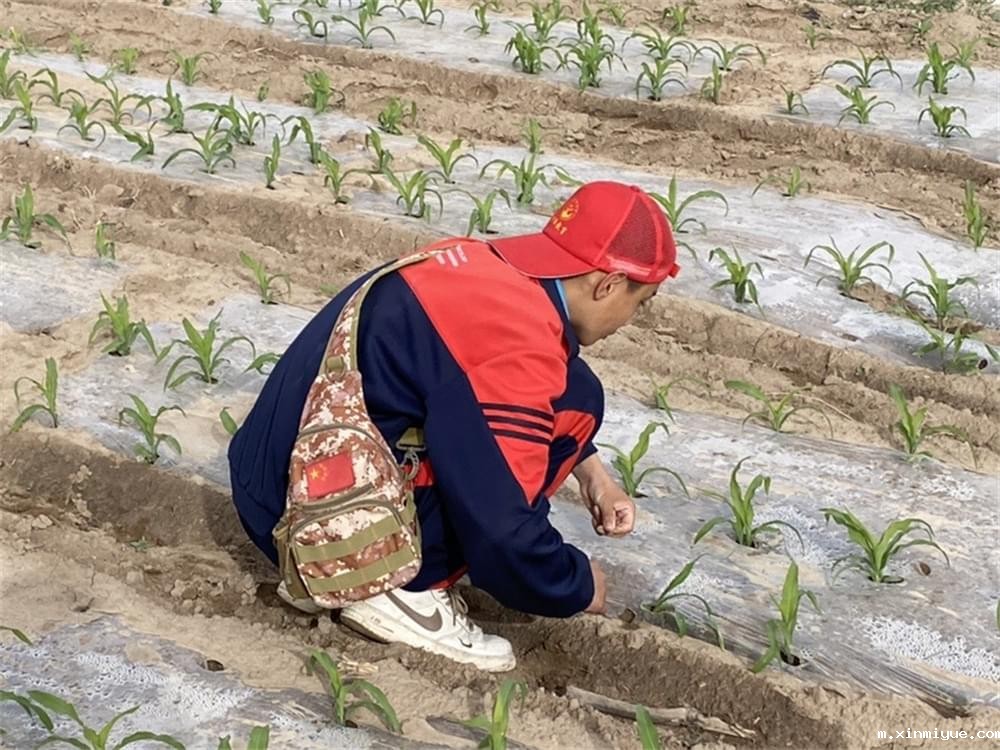 必威betway中文官网「2023年成长不烦恼」夏令营第六组入住体验:结伴山村学子 重燃叛逆娃儿上学梦 必威betway中文官网「2023年成长不烦恼」夏令营第六组入住体验:结伴山村学子 重燃叛逆娃儿上学梦_m.xinmiyue.com