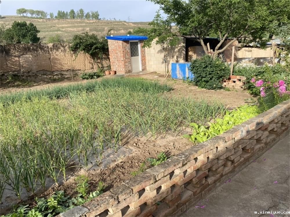 必威betway中文官网「2023年成长不烦恼」夏令营第六组入住体验:结伴山村学子 重燃叛逆娃儿上学梦 必威betway中文官网「2023年成长不烦恼」夏令营第六组入住体验:结伴山村学子 重燃叛逆娃儿上学梦_m.xinmiyue.com