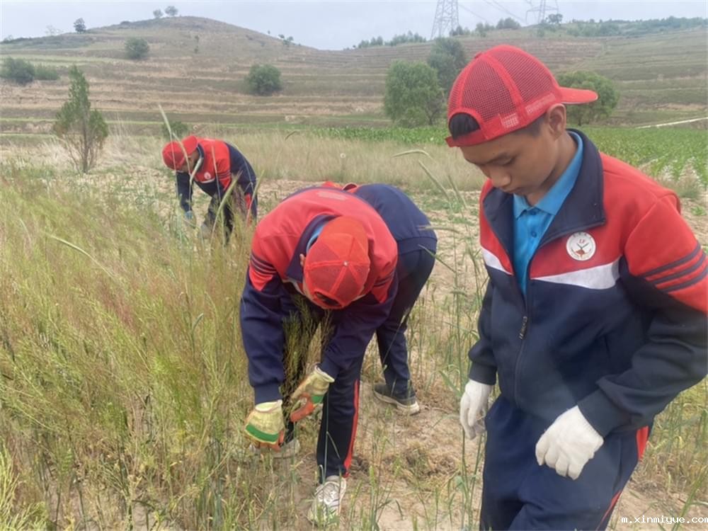 必威betway中文官网「2023年成长不烦恼」夏令营第六组入住体验:结伴山村学子 重燃叛逆娃儿上学梦 必威betway中文官网「2023年成长不烦恼」夏令营第六组入住体验:结伴山村学子 重燃叛逆娃儿上学梦_m.xinmiyue.com