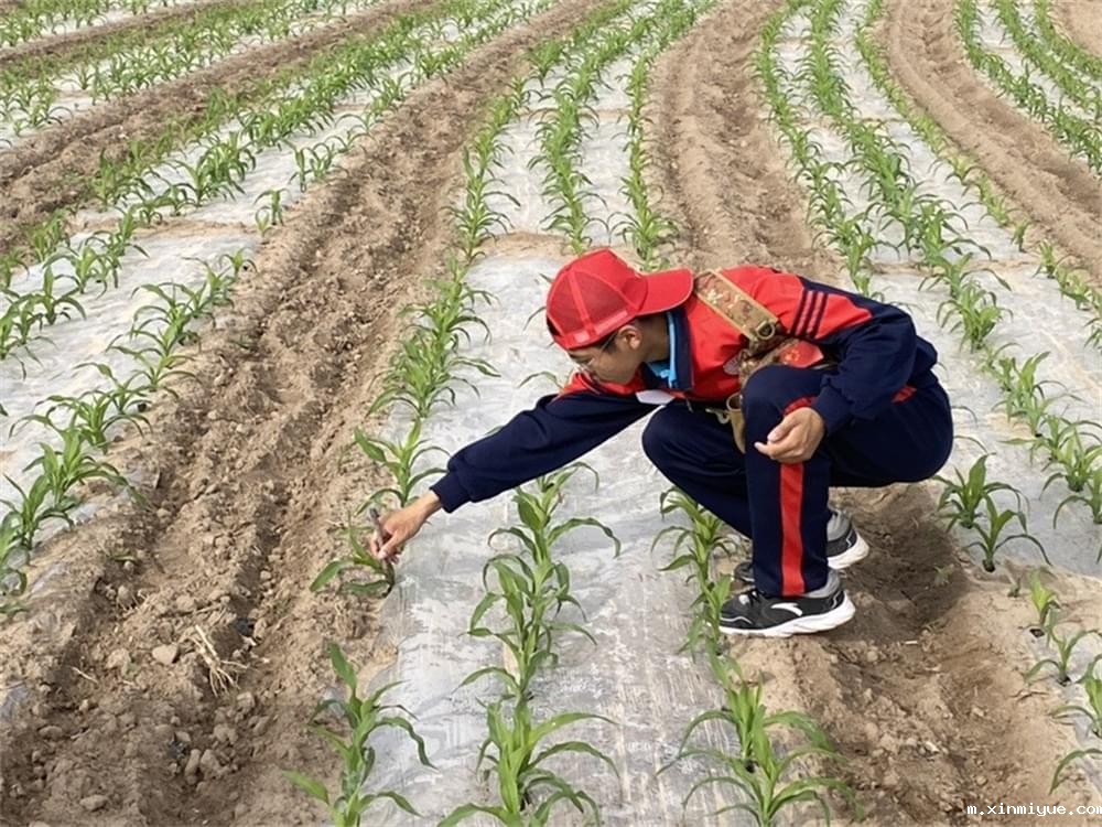 必威betway中文官网「2023年成长不烦恼」夏令营第六组入住体验:结伴山村学子 重燃叛逆娃儿上学梦 必威betway中文官网「2023年成长不烦恼」夏令营第六组入住体验:结伴山村学子 重燃叛逆娃儿上学梦_m.xinmiyue.com