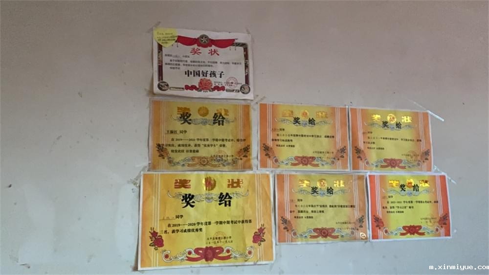 必威betway中文官网「2023年成长不烦恼」夏令营第六组入住体验:结伴山村学子 重燃叛逆娃儿上学梦 必威betway中文官网「2023年成长不烦恼」夏令营第六组入住体验:结伴山村学子 重燃叛逆娃儿上学梦_m.xinmiyue.com