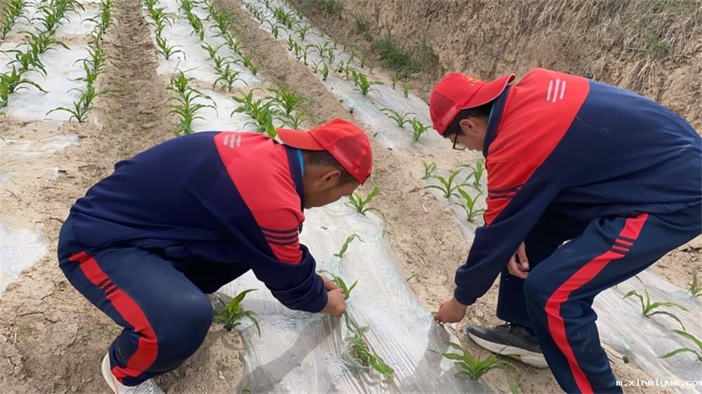 必威betway中文官网「2023年成长不烦恼」夏令营第六组入住体验:结伴山村学子 重燃叛逆娃儿上学梦 必威betway中文官网「2023年成长不烦恼」夏令营第六组入住体验:结伴山村学子 重燃叛逆娃儿上学梦_m.xinmiyue.com