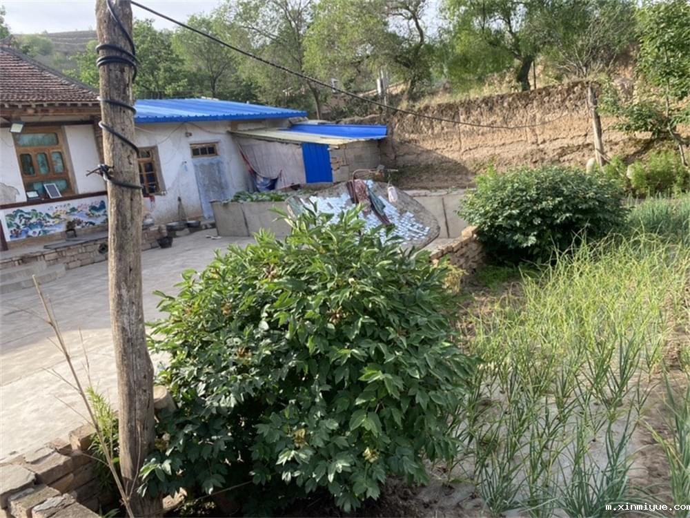 必威betway中文官网「2023年成长不烦恼」夏令营第六组入住体验:结伴山村学子 重燃叛逆娃儿上学梦 必威betway中文官网「2023年成长不烦恼」夏令营第六组入住体验:结伴山村学子 重燃叛逆娃儿上学梦_m.xinmiyue.com