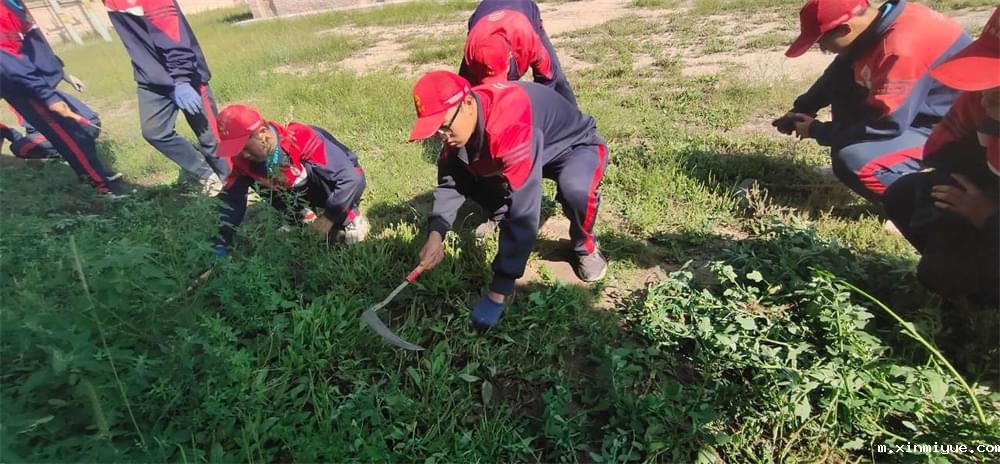 必威betway中文官网「2023年成长不烦恼」夏令营二期第12天:走进胡麻地 干农活话农事知农情 必威betway中文官网「2023年成长不烦恼」夏令营二期第12天:走进胡麻地 干农活话农事知农情_m.xinmiyue.com