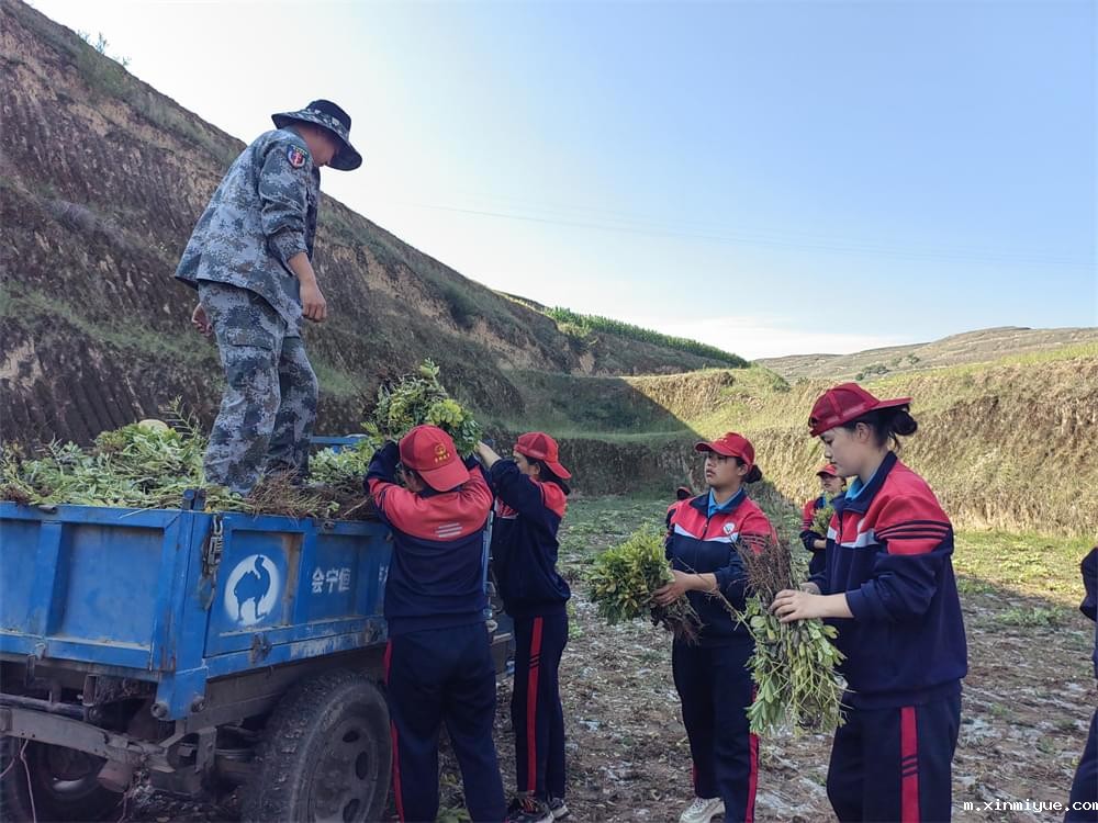必威betway中文官网「2023年成长不烦恼」夏令营二期第12天:走进胡麻地 干农活话农事知农情 必威betway中文官网「2023年成长不烦恼」夏令营二期第12天:走进胡麻地 干农活话农事知农情_m.xinmiyue.com